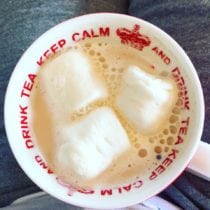 Chocolate Puerh Hot Chocolate – TJ’s & Tea Pairing