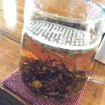 The Wall Tea Infuser-Boreal Wildcraft Tea Company