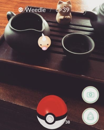 Pokemon and Puerh